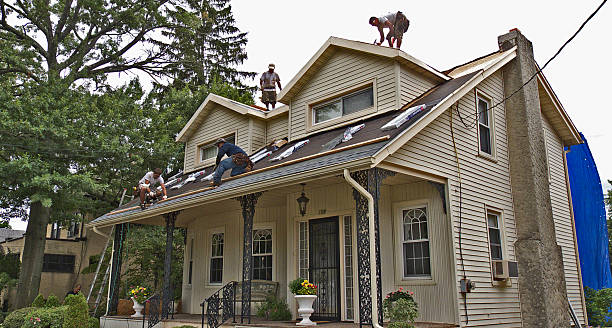 Roof Gutter Cleaning in Treasure Island, FL