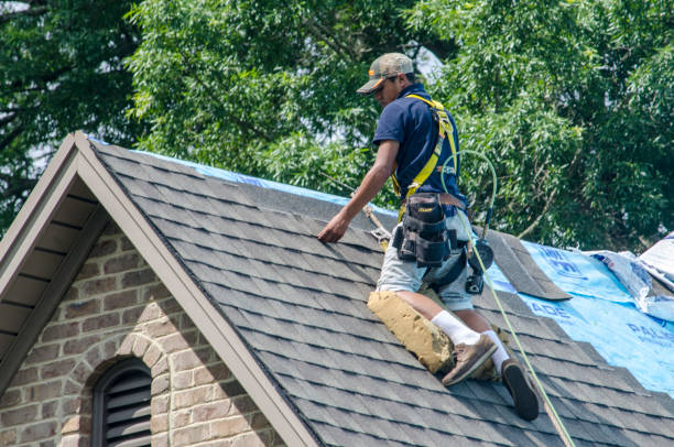 Roof Installation Near Me in Treasure Island, FL